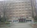 DSC00228.jpg