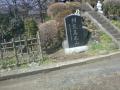 DSC00244_20120419210610.jpg