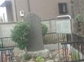 DSC00252.jpg