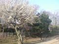 DSC00271.jpg