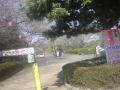 DSC00283.jpg