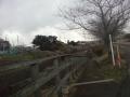 DSC00293.jpg