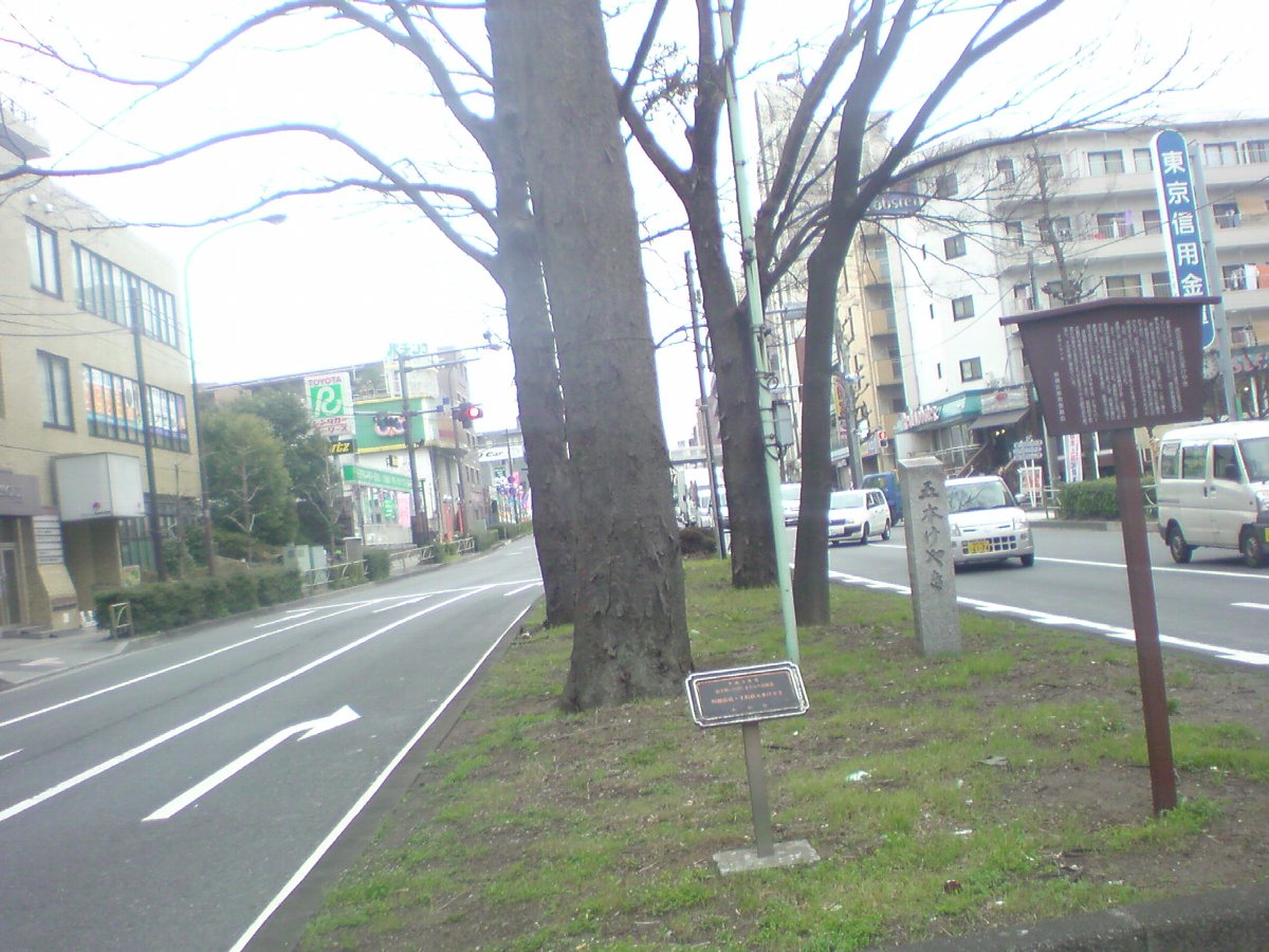 DSC00297.jpg