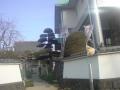 DSC00305.jpg