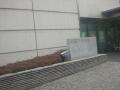 DSC00329.jpg