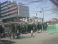 DSC00332_20120423084453.jpg
