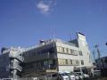DSC00334.jpg