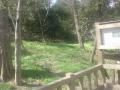 DSC00342_20120423133344.jpg