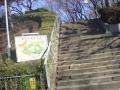DSC00355.jpg
