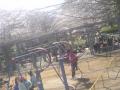 DSC00356.jpg