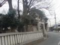 DSC00357.jpg