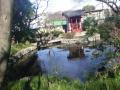 DSC00359.jpg