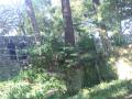 DSC00360.jpg
