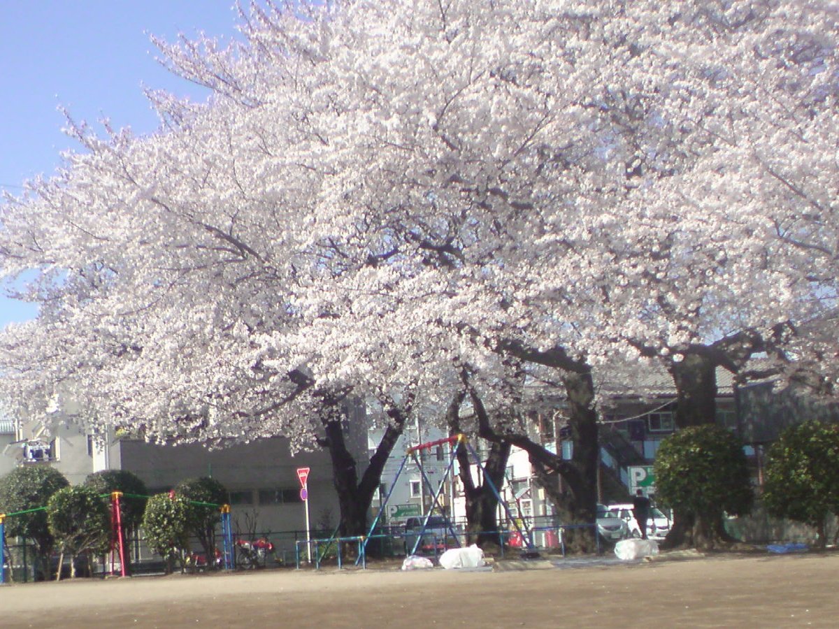DSC00408.jpg