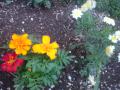 DSC00410_20120423181002.jpg