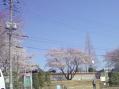 DSC00413.jpg