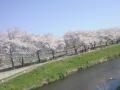 DSC00422.jpg