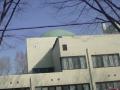 DSC00423.jpg