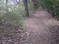 DSC00424.jpg