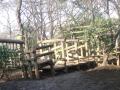 DSC00425_20120422183908.jpg