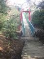 DSC00426.jpg