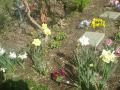 DSC00427_20120423183439.jpg