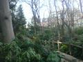 DSC00427.jpg