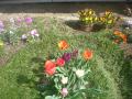 DSC00428_20120423183129.jpg
