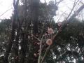 DSC00429_20120423075807.jpg