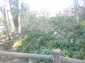 DSC00429.jpg