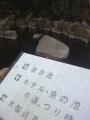 DSC00430.jpg