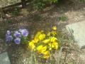 DSC00438_20120423183719.jpg
