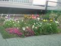 DSC00439_20120423183738.jpg