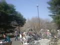 DSC00440.jpg