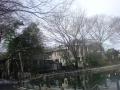 DSC00464.jpg