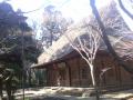 DSC00473.jpg