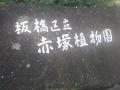 DSC00482.jpg