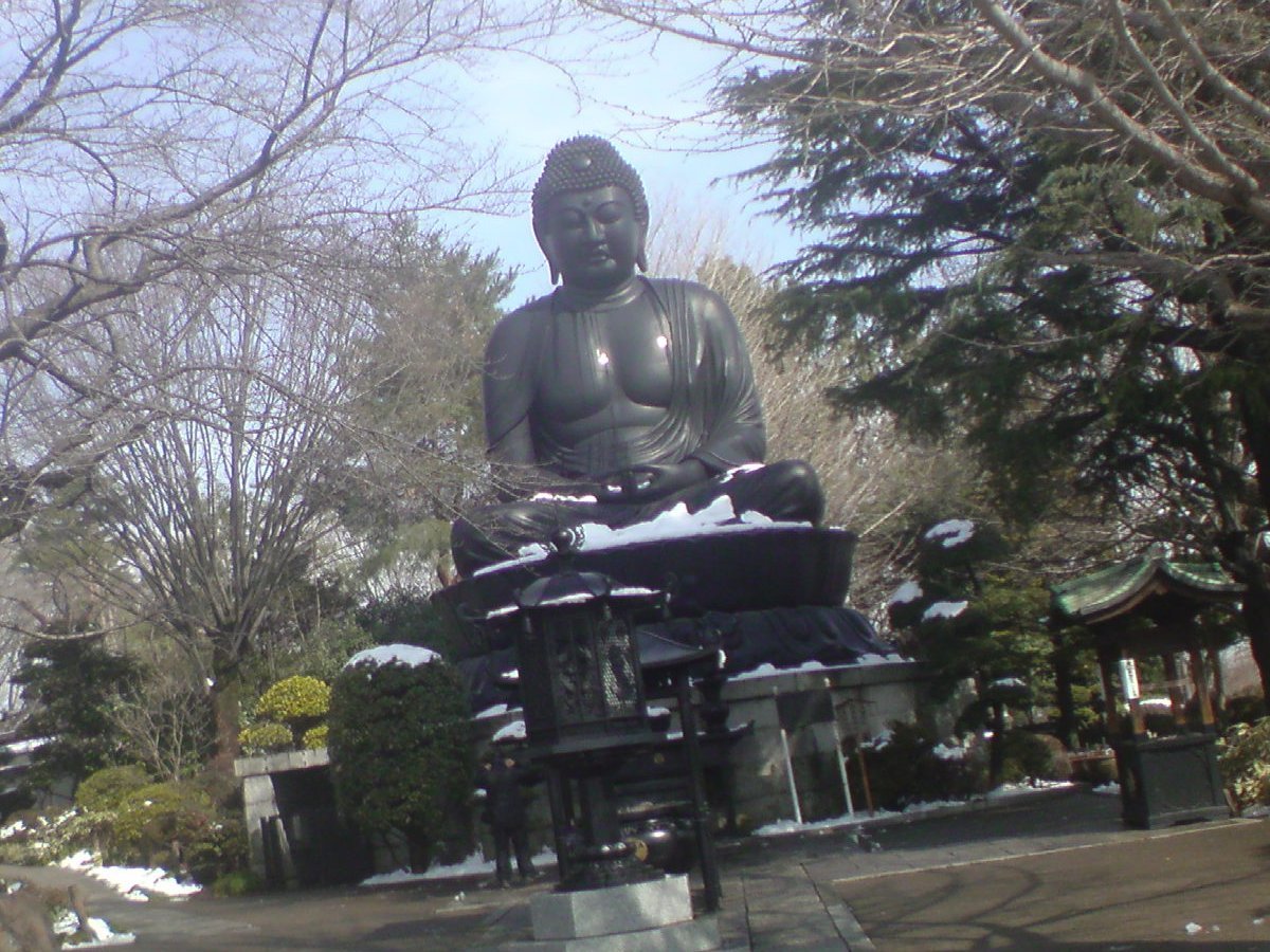 DSC00494.jpg