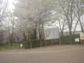 DSC00504.jpg