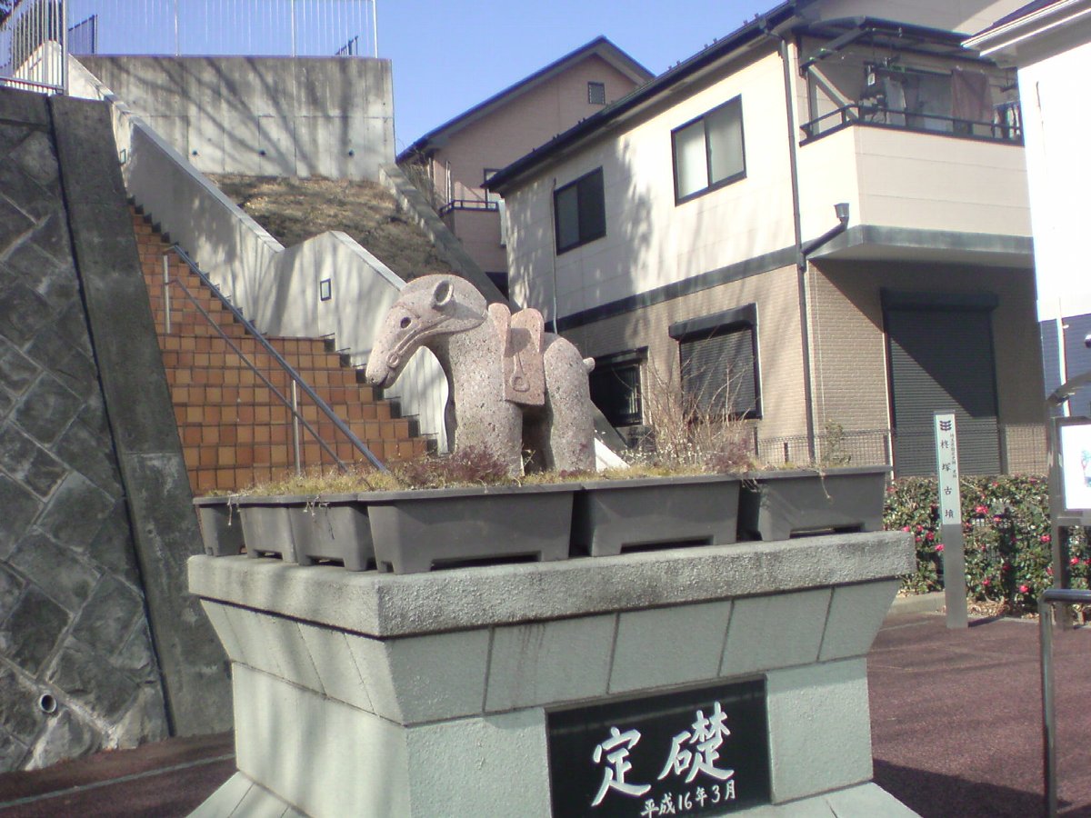 DSC0050d.jpg