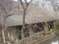DSC00514.jpg