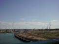 DSC00520.jpg