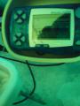 DSC00352.jpg