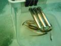 DSC00353.jpg