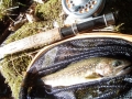 P9290013_201409291444229d1.jpg