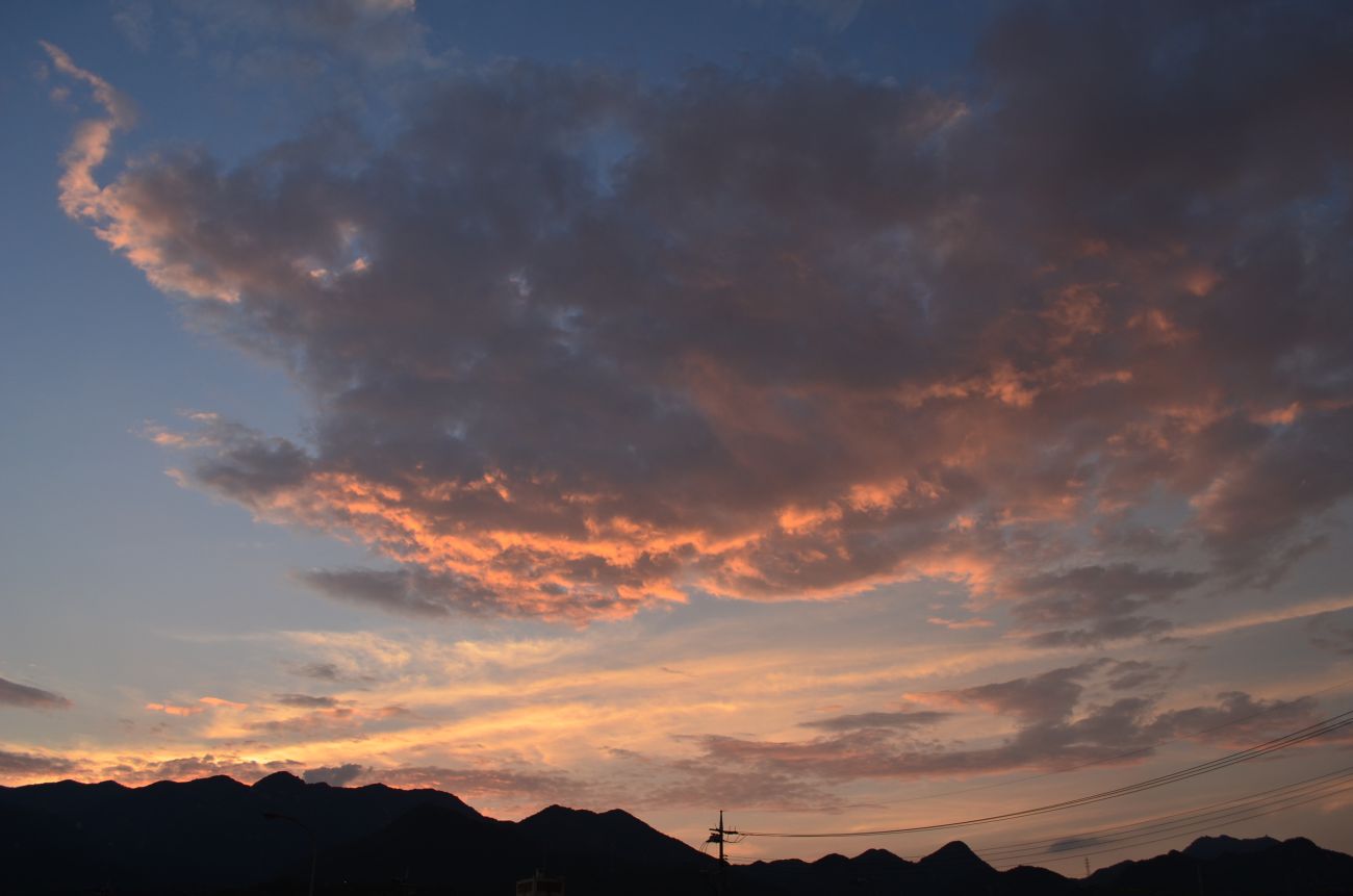 DSC_0904.jpg