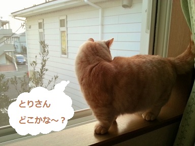20130307_latte.jpg