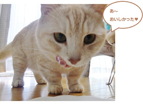 20130512-8.jpg