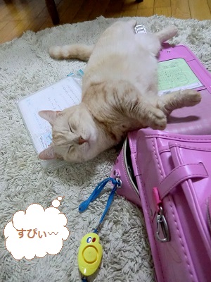 20130614-4.jpg