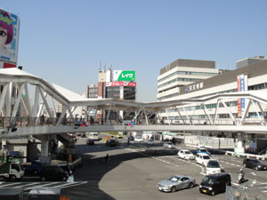 2013-4-25o.jpg